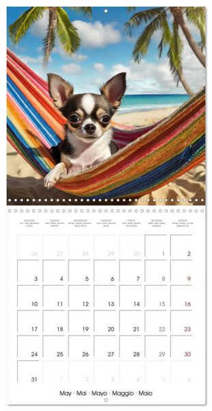 Produktbild: Chilling Chihuahuas (Wall Calendar 2027 12 &times; 12 Inch) CALVENDO 12 Month Wall Calendar