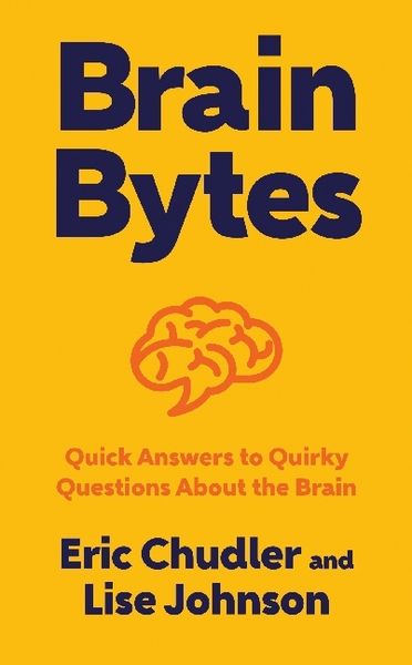 Produktbild: Brain Bytes: Quick Answers to Quirky Questions about the Brain