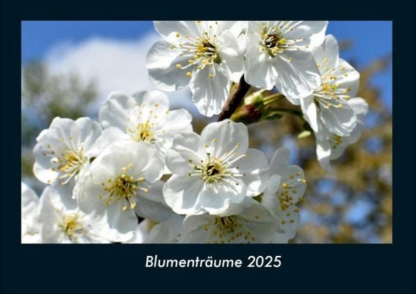 Blumenträume 2025 Fotokalender DIN A4