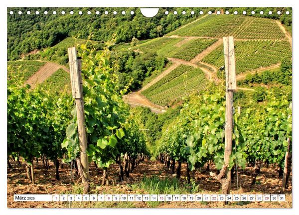 Produktbild: Sehenswertes Ahrtal - Von Altenahr bis Bad Neuenahr (Wandkalender 2026 DIN A4 quer), CALVENDO Monatskalender