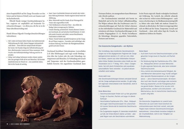 Produktbild: Dem Geruch auf der Spur