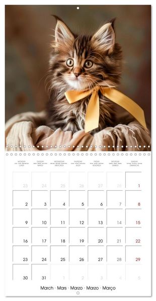 Produktbild: KITTEN Cuteness overload (Wall Calendar 2026 12 &times; 12 Inch) CALVENDO 12 Month Wall Calendar