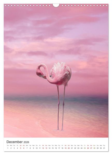 Produktbild: Flamingo and the sea (Wall Calendar 2026 DIN A3 portrait), CALVENDO 12 Month Wall Calendar