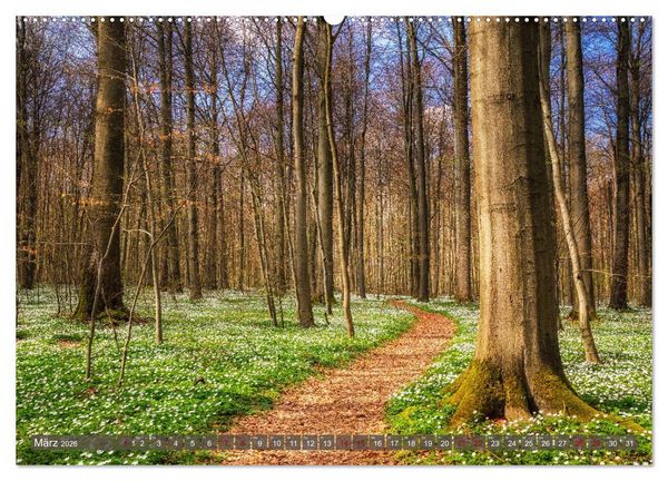 Produktbild: Wege zur Entspannung 2026 (Wandkalender 2026 DIN A2 quer), CALVENDO Monatskalender