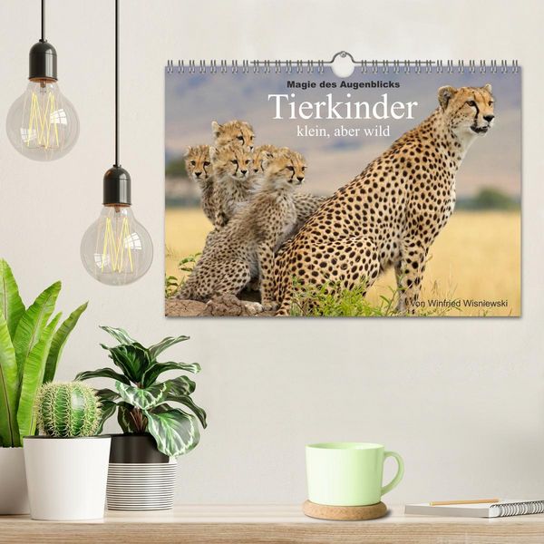 Produktbild: Magie des Augenblicks - Tierkinder - klein, aber wild (Wandkalender 2026 DIN A4 quer), CALVENDO Monatskalender