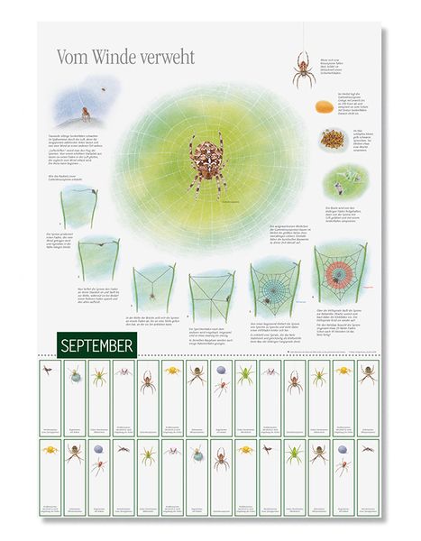 Produktbild: Natur erleben durch das Jahr - 3