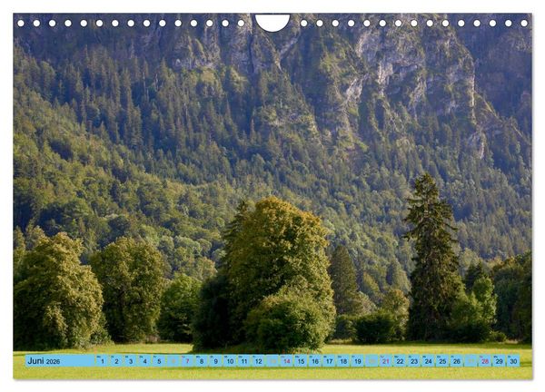 Produktbild: Sch&ouml;ner Forggensee (Wandkalender 2026 DIN A4 quer), CALVENDO Monatskalender