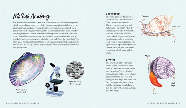 Produktbild: Searching for Seashells
