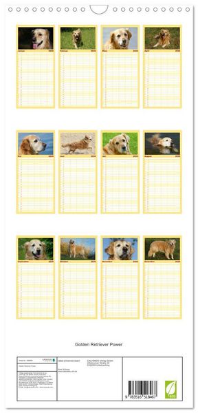 Produktbild: Familienplaner 2026 - Golden Retriever Power mit 5 Spalten (Wandkalender, 21 x 45 cm) CALVENDO