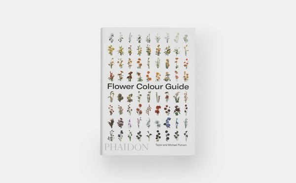 Produktbild: Flower Colour Guide