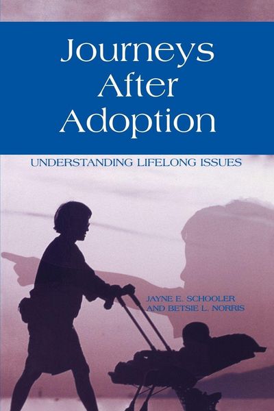 Produktbild: Journeys After Adoption