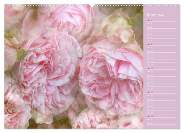 Produktbild: Romantische Rosen (hochwertiger Premium Wandkalender 2026 DIN A2 quer), Kunstdruck in Hochglanz