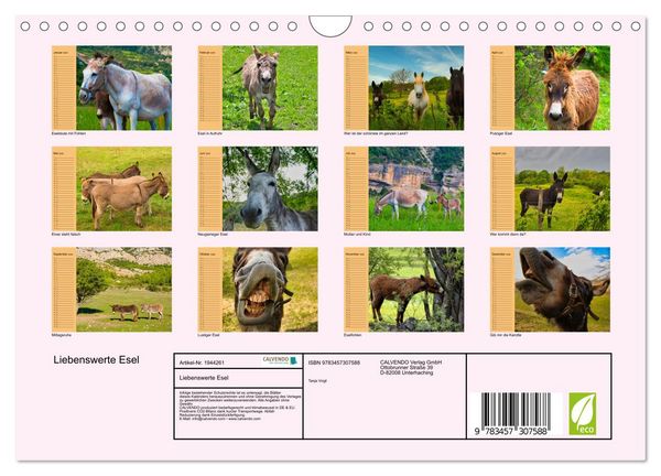 Produktbild: Liebenswerte Esel (Wandkalender 2026 DIN A4 quer), CALVENDO Monatskalender