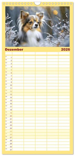 Produktbild: Familienplaner 2026 - Chihuahuas - Kleine Hunde - gro&szlig;e Temperamentb&uuml;ndel mit 5 Spalten (Wandkalender, 21 x 45 cm) CALVENDO
