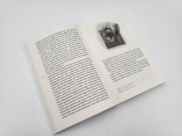 Produktbild: Schecks Kanon
