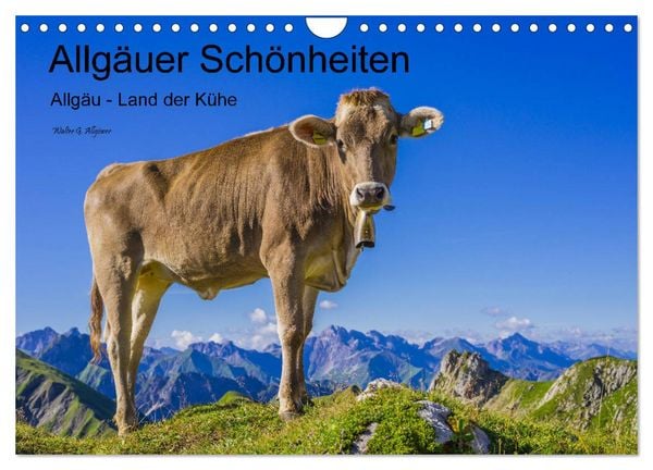 Produktbild: Allg&auml;uer Sch&ouml;nheiten Allg&auml;u - Land der K&uuml;he (Wandkalender 2026 DIN A4 quer), CALVENDO Monatskalender