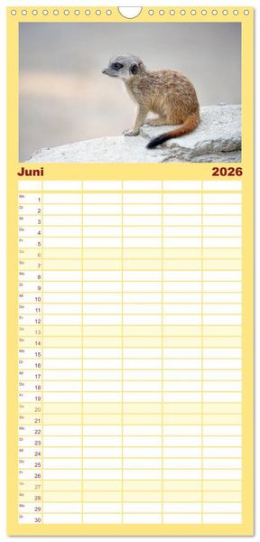Produktbild: Familienplaner 2026 - Lustige Erdm&auml;nnchen mit 5 Spalten (Wandkalender, 21 x 45 cm) CALVENDO