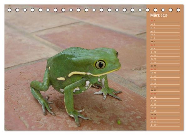 Produktbild: Bilder aus dem Chaco in Paraguay (Tischkalender 2026 DIN A5 quer), CALVENDO Monatskalender