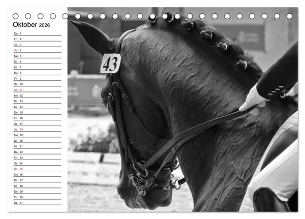Produktbild: Leidenschaft Pferdesport - Impressionen (Tischkalender 2026 DIN A5 quer), CALVENDO Monatskalender