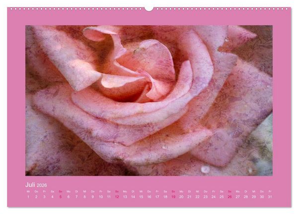 Produktbild: Romantische Rosen (Wandkalender 2026 DIN A2 quer), CALVENDO Monatskalender