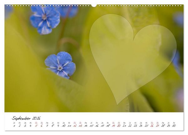 Produktbild: Blauer Bl&uuml;tentraum - Bastelkalender (Wandkalender 2026 DIN A2 quer), CALVENDO Monatskalender