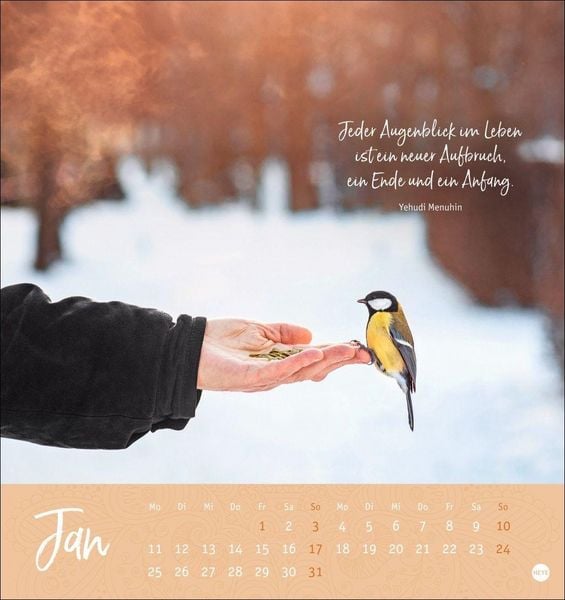 Produktbild: Augenblicke voller Zuversicht Postkartenkalender 2027