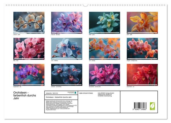 Produktbild: Orchideen - farbenfroh durchs Jahr (hochwertiger Premium Wandkalender 2026 DIN A2 quer), Kunstdruck in Hochglanz