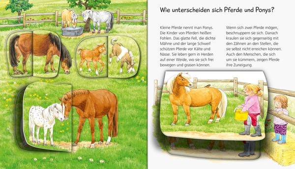 Produktbild: Wieso? Weshalb? Warum? Mein junior zum H&ouml;ren, Band 5: Pferde