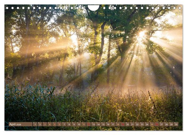 Produktbild: Herbst im Dieskauer Park (Wandkalender 2026 DIN A4 quer), CALVENDO Monatskalender