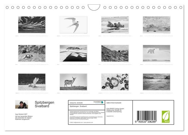 Produktbild: Spitzbergen Svalbard (Wandkalender 2026 DIN A4 quer), CALVENDO Monatskalender