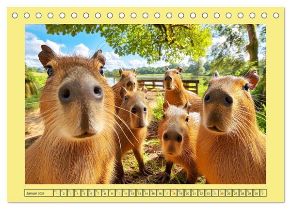Produktbild: Capybaras on Tour. Wasserschweine als Weltenbummler (Tischkalender 2026 DIN A5 quer), CALVENDO Monatskalender