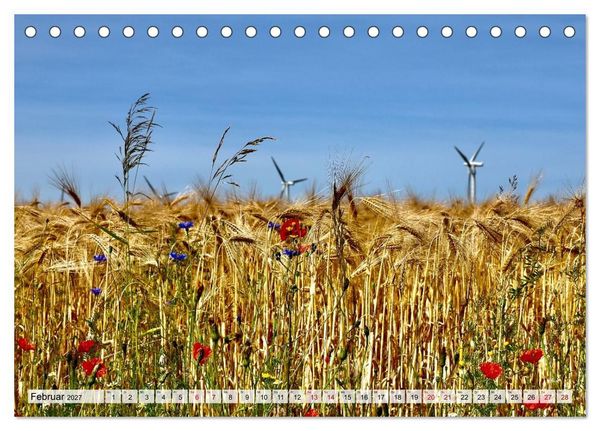Produktbild: Fischland: zwischen Ostsee und Bodden (Tischkalender 2027 DIN A5 quer), CALVENDO Monatskalender