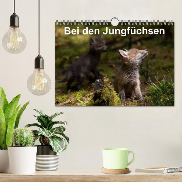 Produktbild: Bei den Jungf&uuml;chsen (Wandkalender 2026 DIN A4 quer), CALVENDO Monatskalender