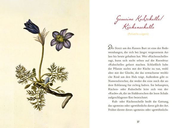 Produktbild: Eifeler Bl&uuml;ten-Lese
