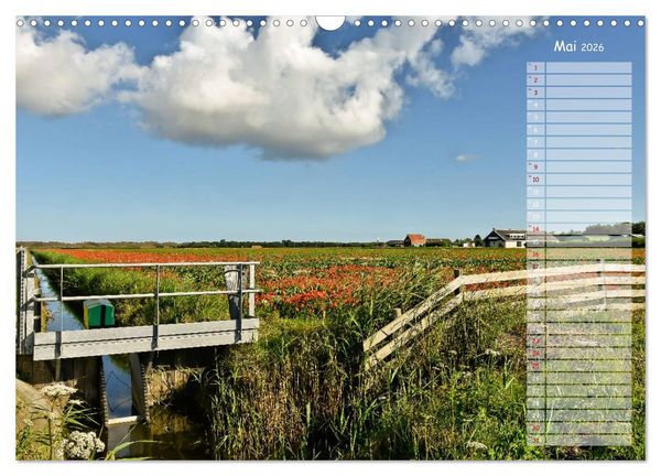 Produktbild: Ein Sommer auf Texel (Wandkalender 2026 DIN A3 quer), CALVENDO Monatskalender
