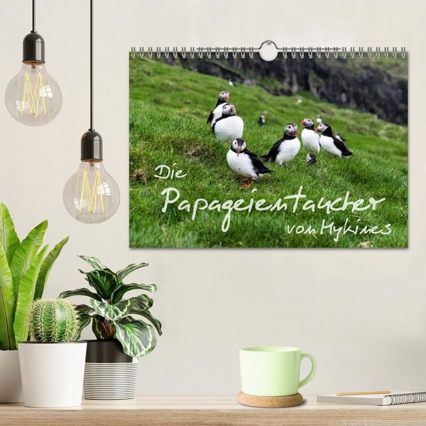 Produktbild: Die Papageientaucher von Mykines (Wandkalender 2026 DIN A4 quer), CALVENDO Monatskalender