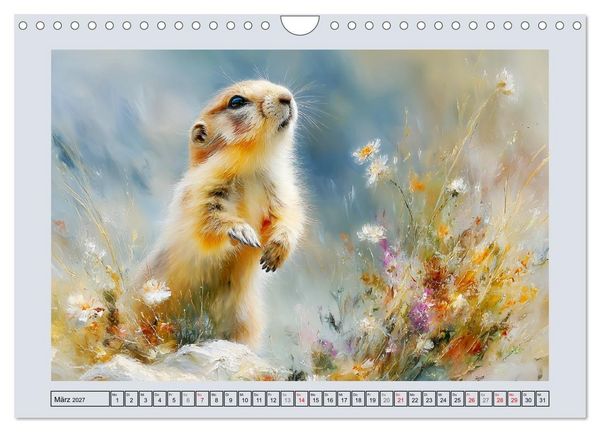 Produktbild: Murmeltiere. Kleine W&auml;chter der Berge (Wandkalender 2027 DIN A4 quer), CALVENDO Monatskalender
