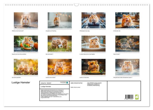 Produktbild: Lustige Hamster (Wandkalender 2026 DIN A2 quer), CALVENDO Monatskalender
