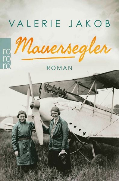 Produktbild: Mauersegler