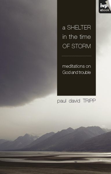 Produktbild: A Shelter in the Time of Storm