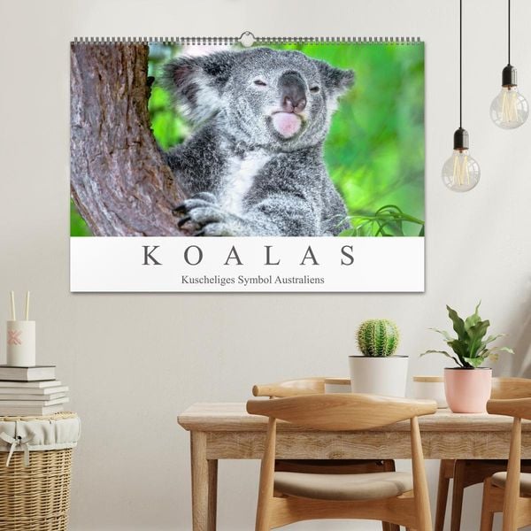 Produktbild: Koalas - Kuscheliges Symbol Australiens (Wandkalender 2026 DIN A2 quer), CALVENDO Monatskalender