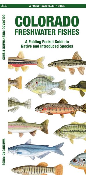 Produktbild: Colorado Freshwater Fishes