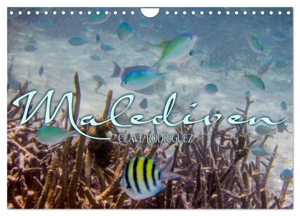 Produktbild: Unterwasserwelt der Malediven III (Wandkalender 2026 DIN A4 quer), CALVENDO Monatskalender