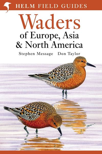 Produktbild: Field Guide to Waders of Europe, Asia and North America