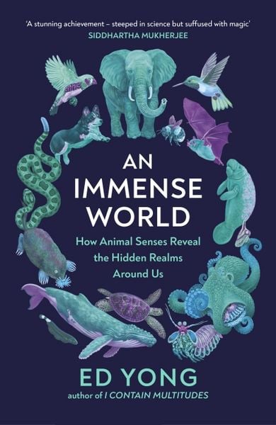 Produktbild: An Immense World