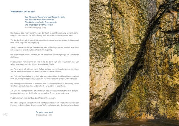 Produktbild: Die Gaben des Wassers