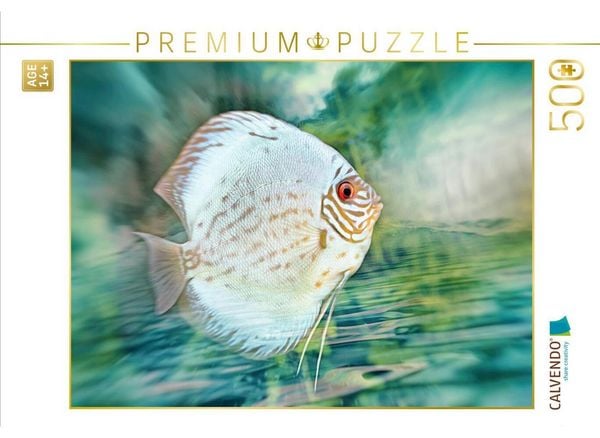 CALVENDO Puzzle Diskusfisch | 500 Teile Lege-Größe 48 × 36 cm Foto-Puzzle für Erwachsene