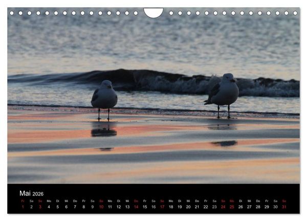 Produktbild: Sylt 2026 (Wandkalender 2026 DIN A4 quer), CALVENDO Monatskalender
