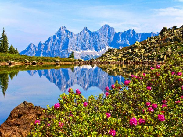 Produktbild: CALVENDO Puzzle Almrauschbl&uuml;te am Spiegelsee auf der Reiteralm | 1000 Teile Lege-Gr&ouml;&szlig;e 64x48cm Foto-Puzzle f&uuml;r gl&uuml;ckliche Stunden