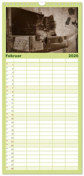 Produktbild: Familienplaner 2026 - Oma's Katzenkalender 2026 mit 5 Spalten (Wandkalender, 21 x 45 cm) CALVENDO
